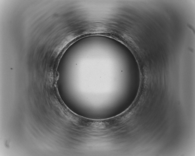 X0000103271457200808291229