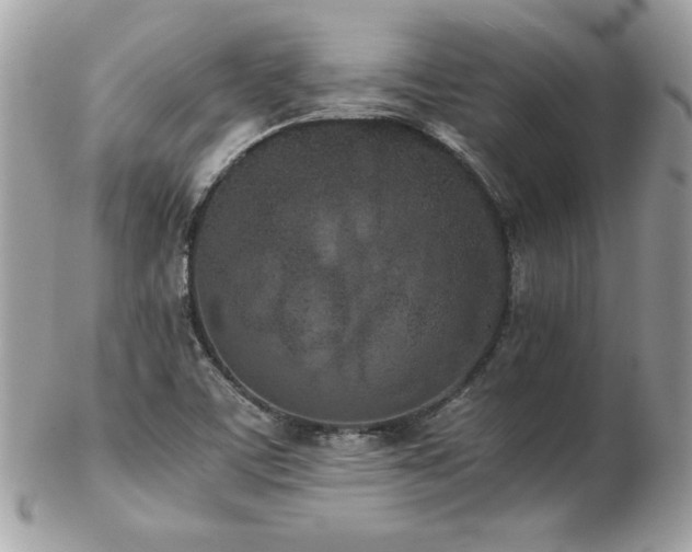 X0000103271459200808291229