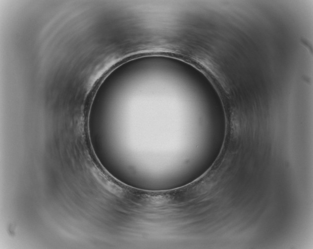 X0000103271460200808291229