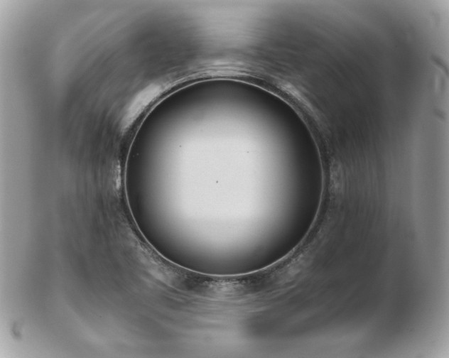 X0000103271461200808291229