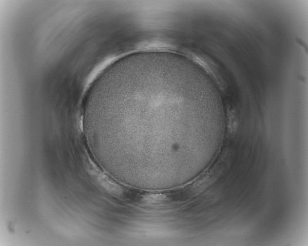 X0000103271462200808291229