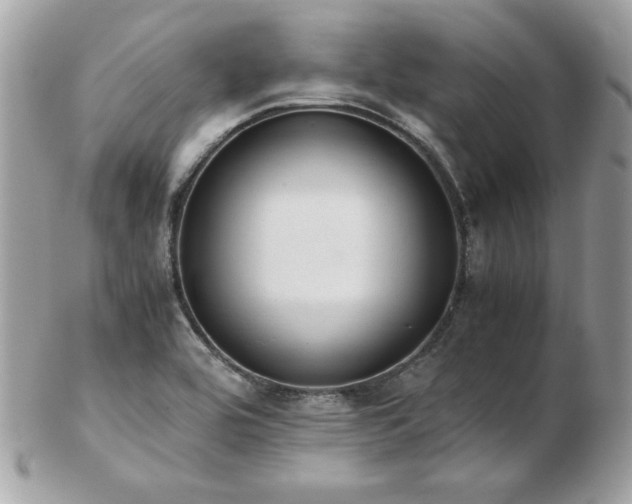 X0000103271464200808291229