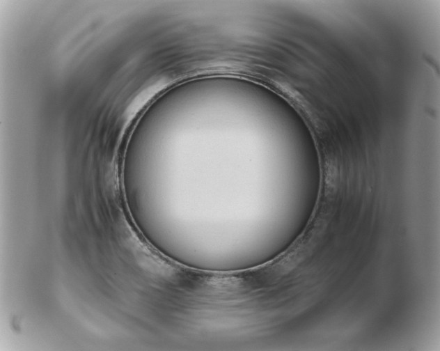 X0000103271466200808291229