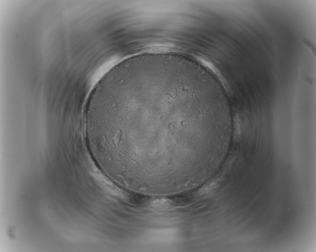 X0000103271467200808291229