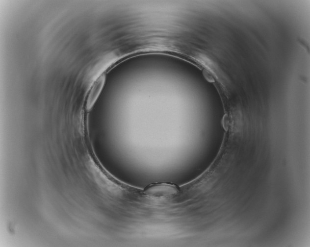 X0000103271468200808291229