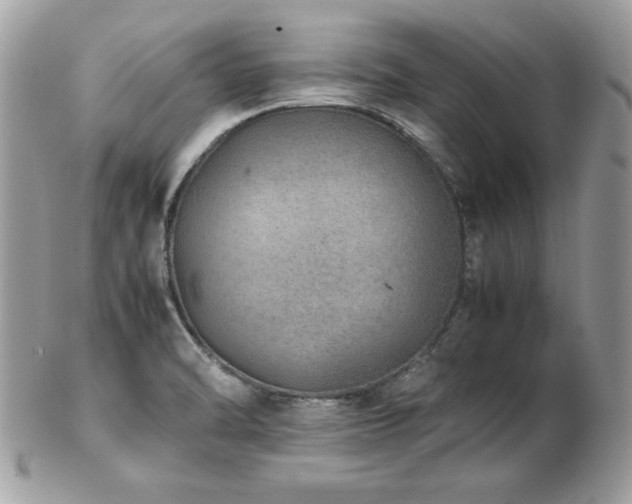 X0000103271470200808291229