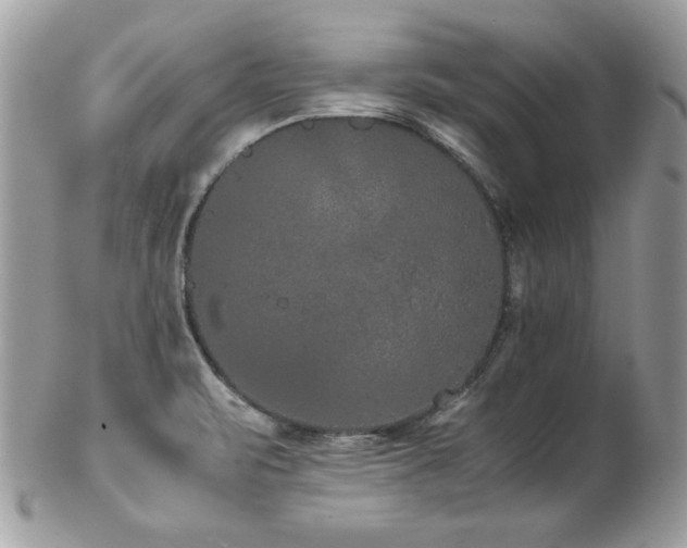 X0000103271471200808291229