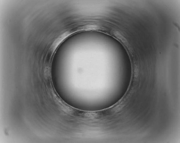 X0000103271473200808291229