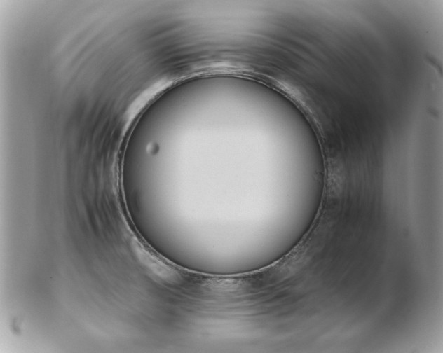 X0000103271474200808291229