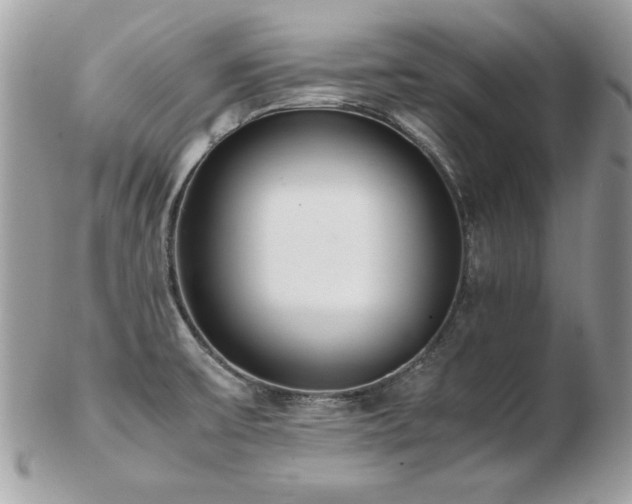 X0000103271475200808291229