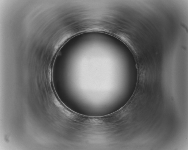 X0000103271476200808291229