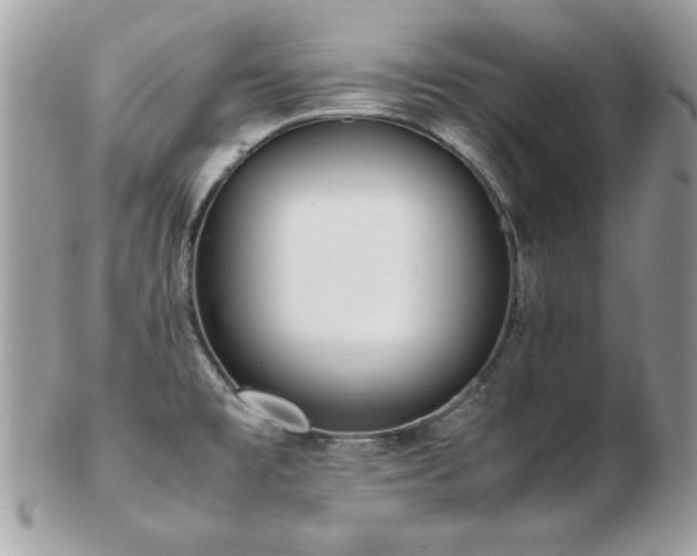 X0000103271477200808291229