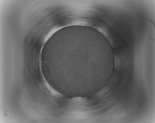 X0000103271478200808291229