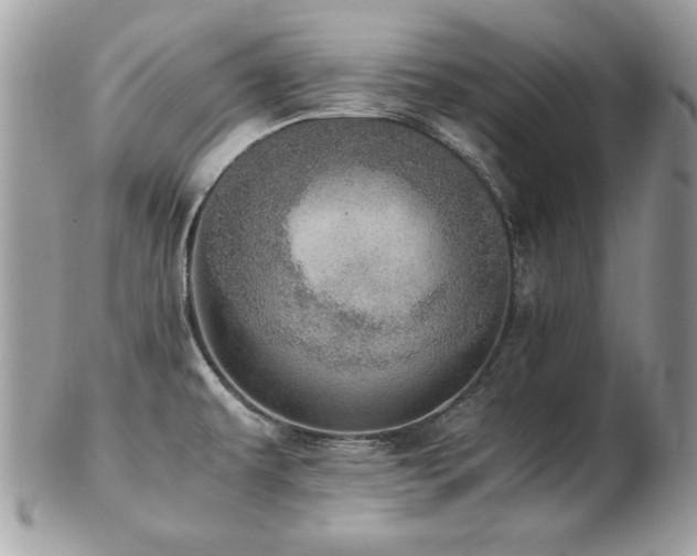 X0000103271479200808291229