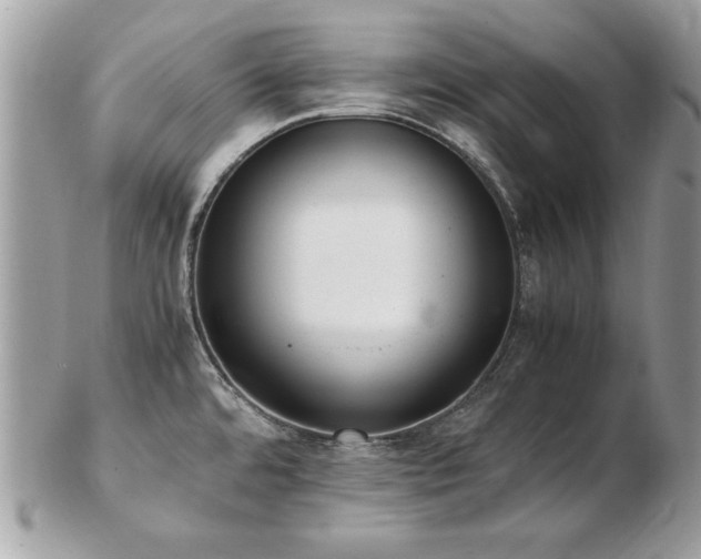 X0000103271480200808291229