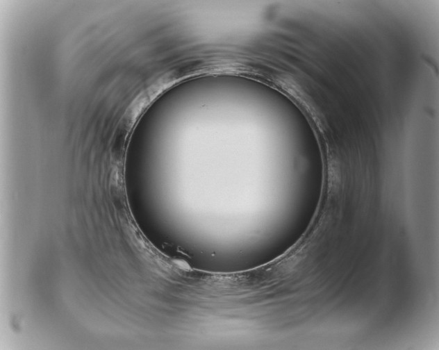 X0000103271481200808291229