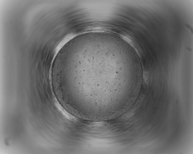 X0000103271482200808291229