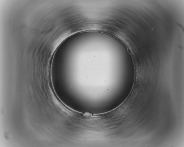 X0000103271483200808291229