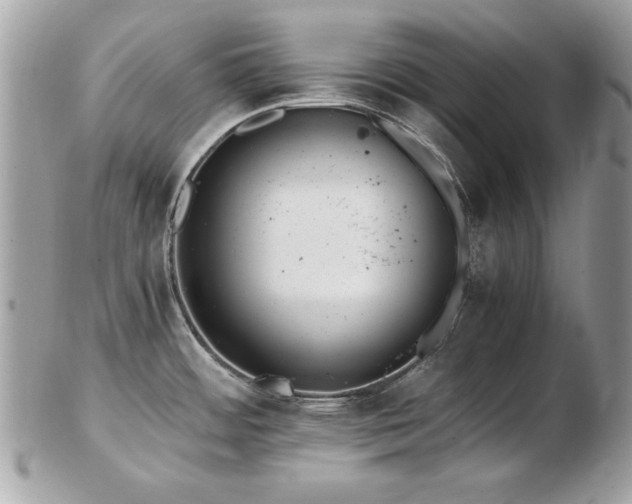 X0000103271484200808291229