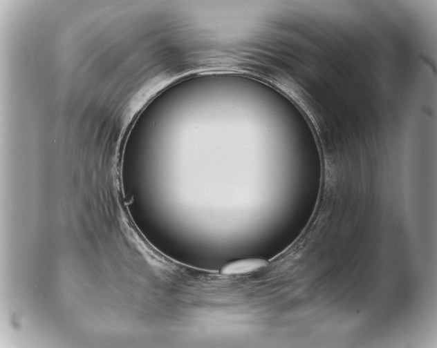 X0000103271485200808291229