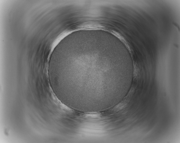 X0000103271486200808291229