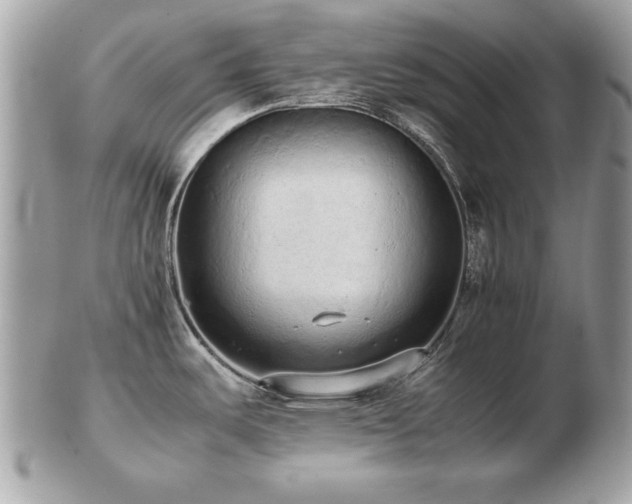 X0000103271487200808291229