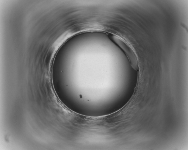 X0000103271488200808291229