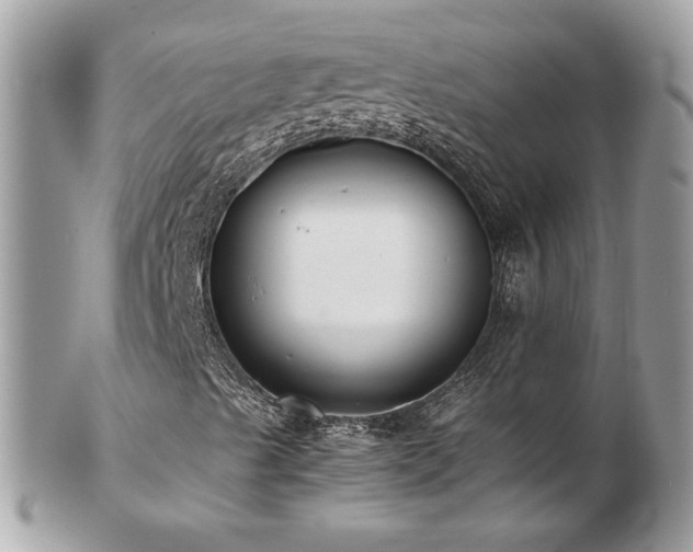 X0000103271489200808291228