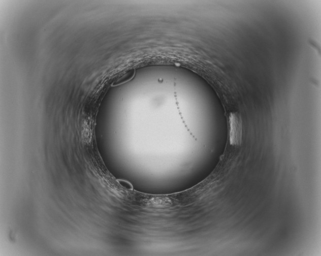 X0000103271491200808291228