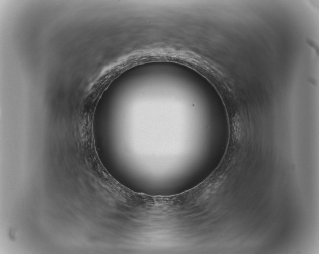 X0000103271494200808291228