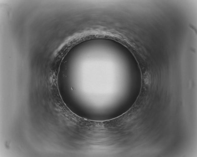 X0000103271495200808291228