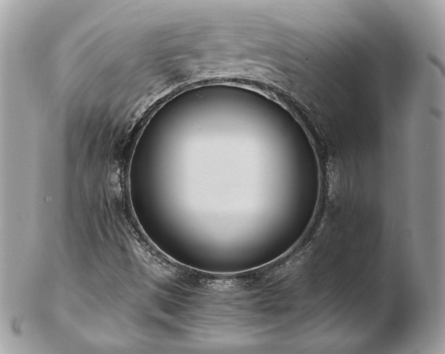 X0000103271497200808291228