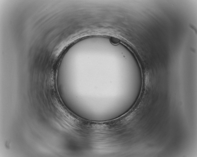 X0000103271498200808291228