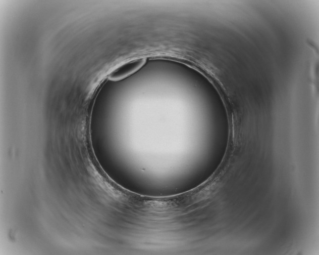 X0000103271500200808291228