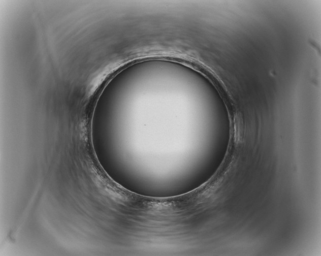 X0000103271501200808291228