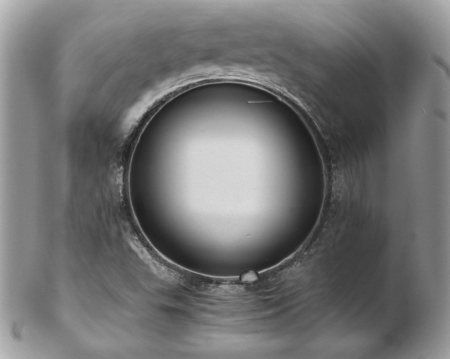 X0000103271503200808291228