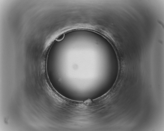 X0000103271504200808291228