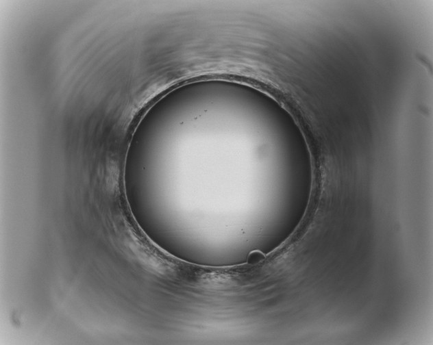 X0000103271505200808291228