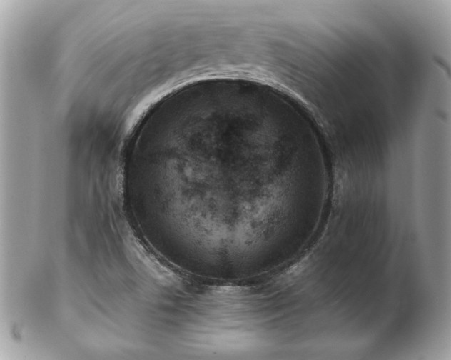 X0000103271506200808291228