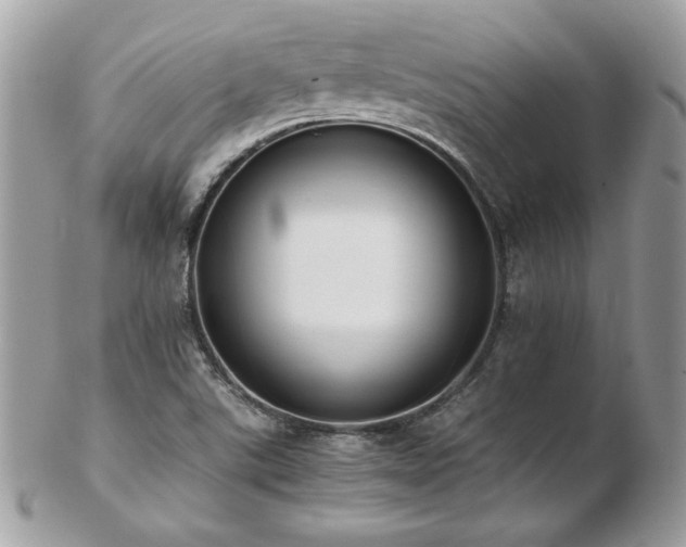 X0000103271507200808291228