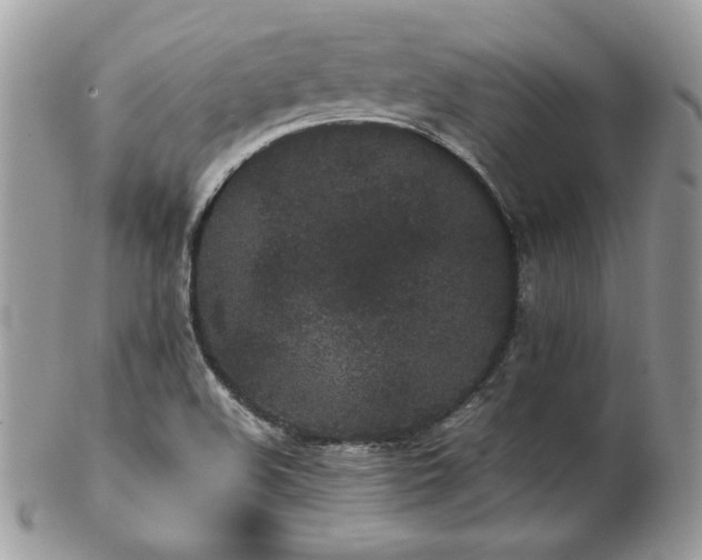 X0000103271508200808291228