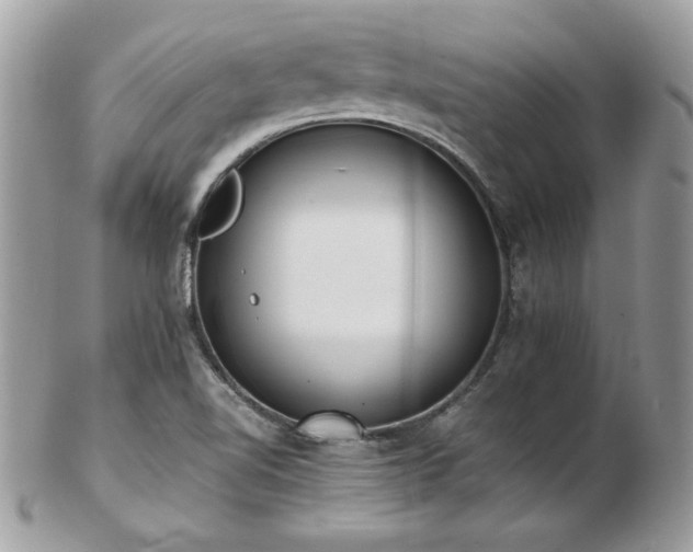 X0000103271510200808291228