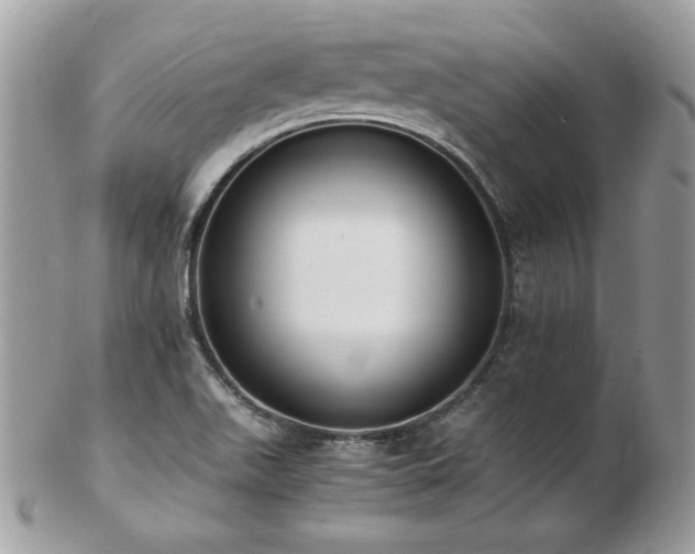 X0000103271511200808291228