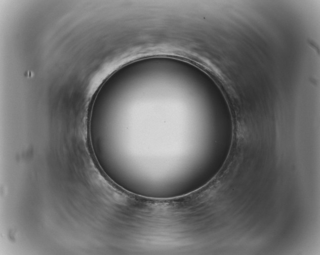 X0000103271512200808291228