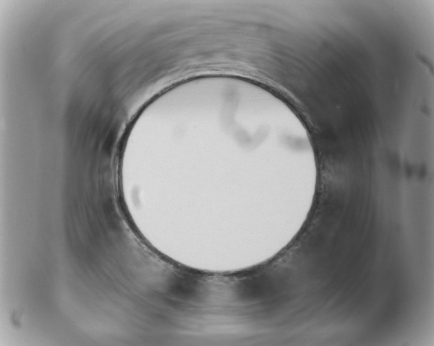 X0000103271514200808291228