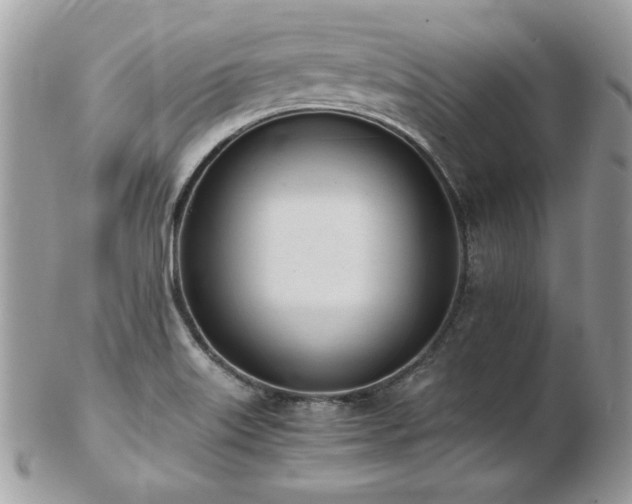 X0000103271515200808291228