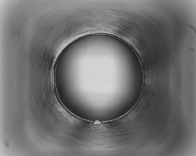 X0000103271516200808291228