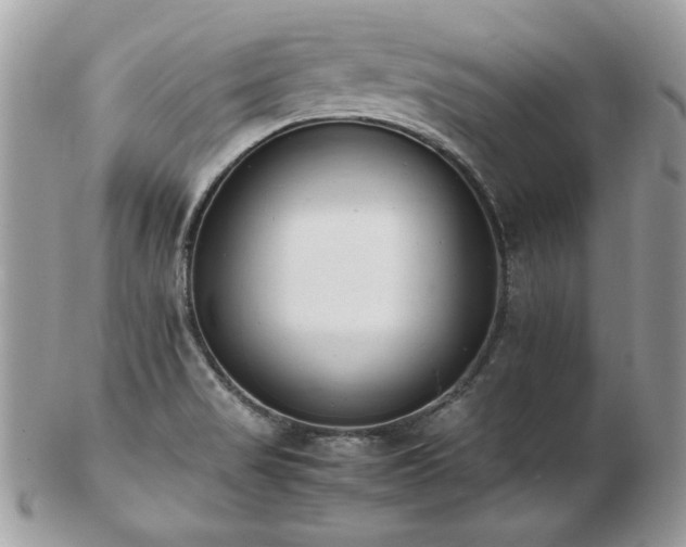 X0000103271517200808291228