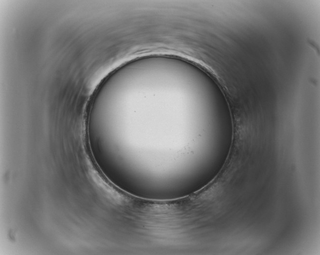 X0000103271518200808291228