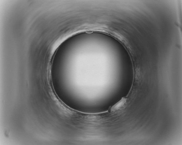 X0000103271520200808291228